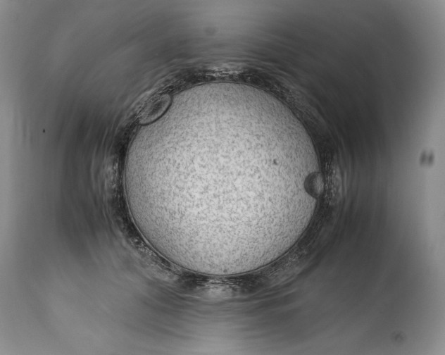 X0000114560608200911091219