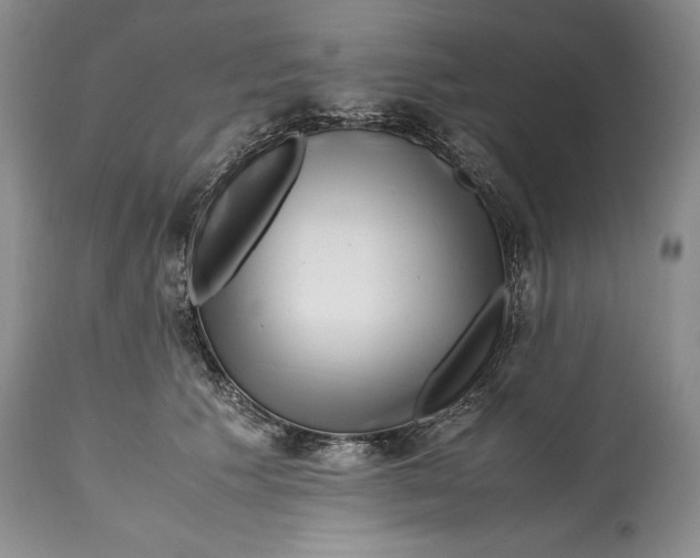 X0000114560609200911091219