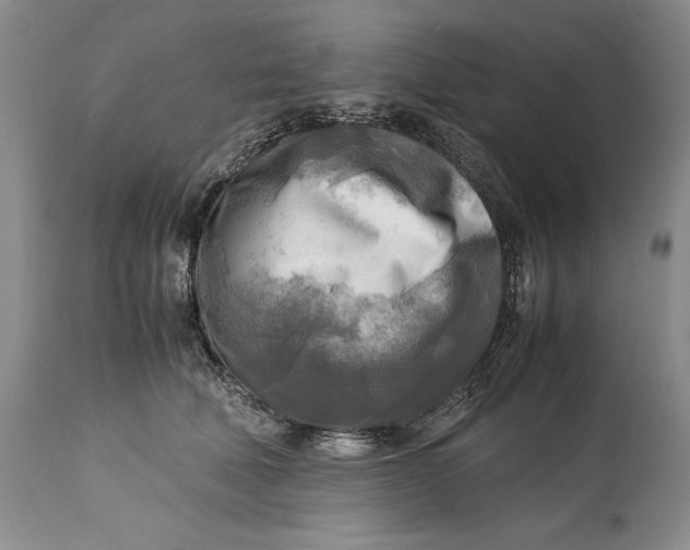 X0000114560610200911091219