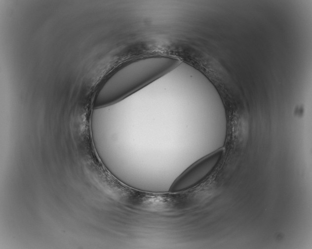 X0000114560611200911091219