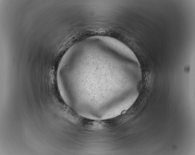 X0000114560612200911091219