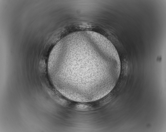X0000114560614200911091219