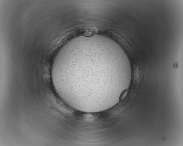 X0000114560616200911091219
