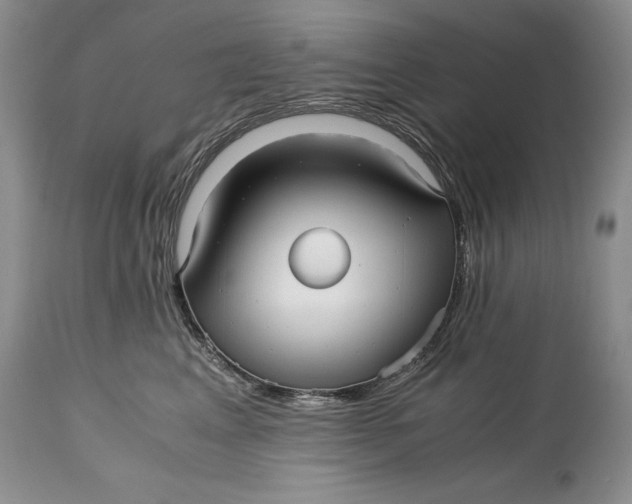 X0000114560617200911091219