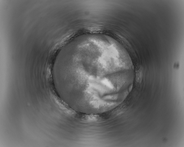 X0000114560618200911091219