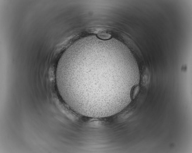 X0000114560620200911091219