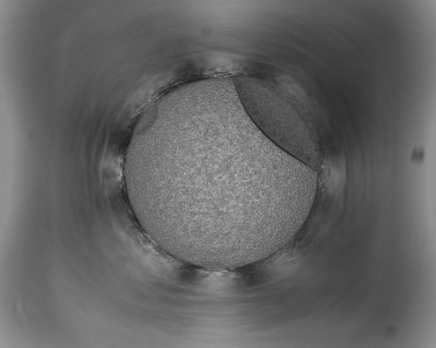 X0000114560621200911091219