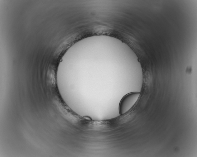 X0000114560622200911091219