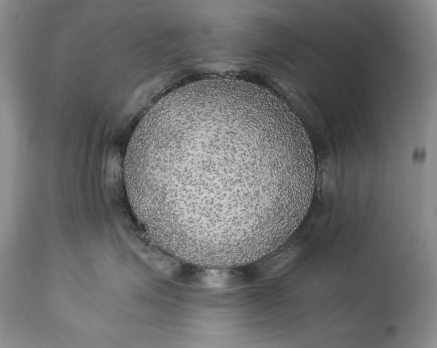 X0000114560623200911091219