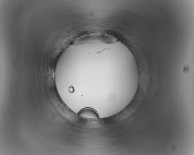 X0000114560624200911091219