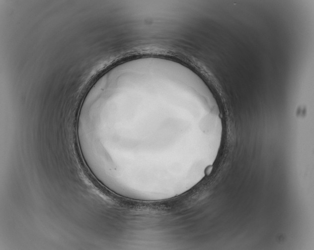 X0000114560625200911091219