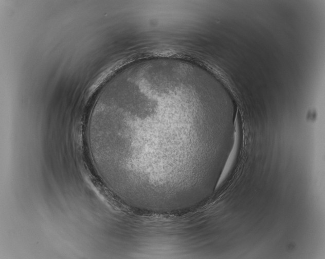 X0000114560626200911091219