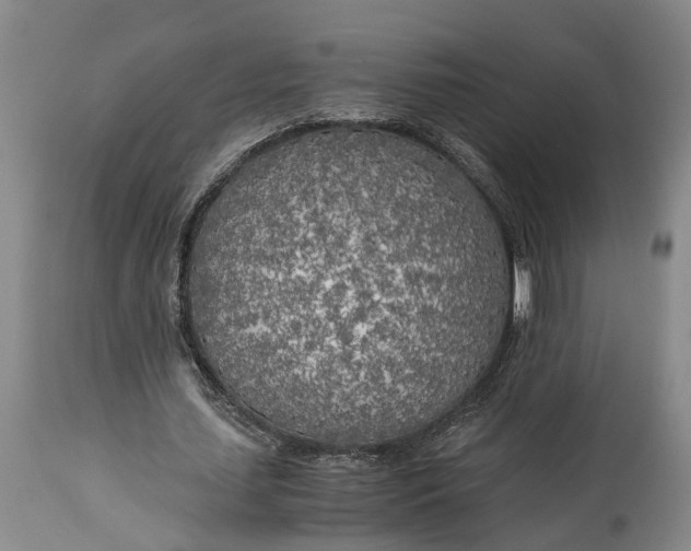 X0000114560627200911091219