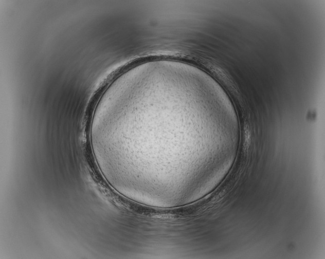 X0000114560628200911091219