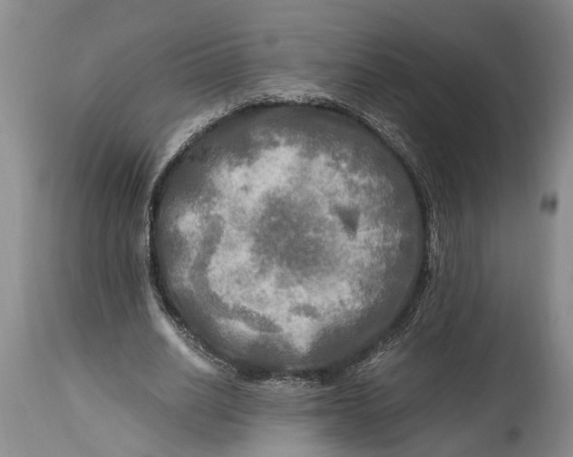X0000114560630200911091219