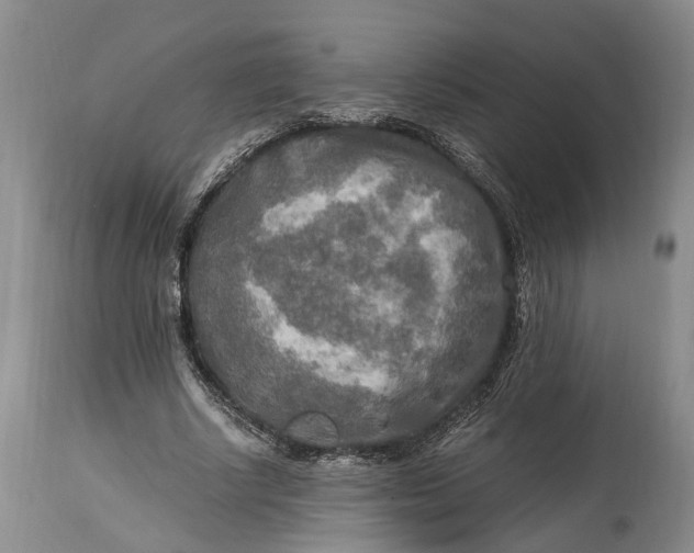 X0000114560634200911091219