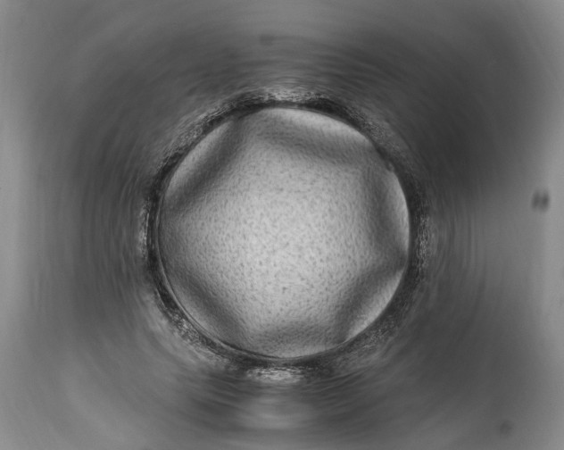 X0000114560639200911091219