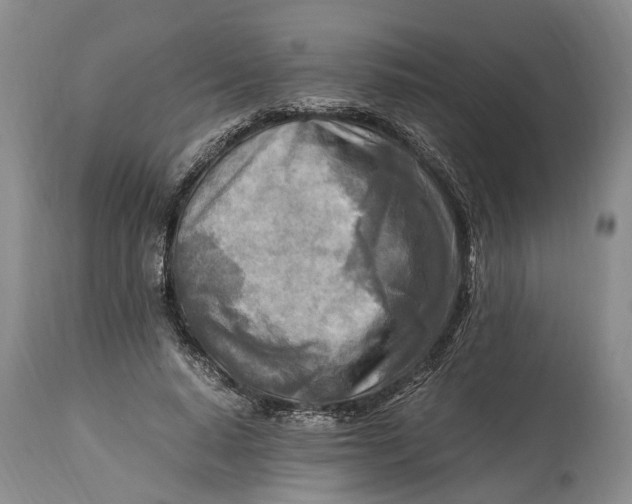X0000114560640200911091219