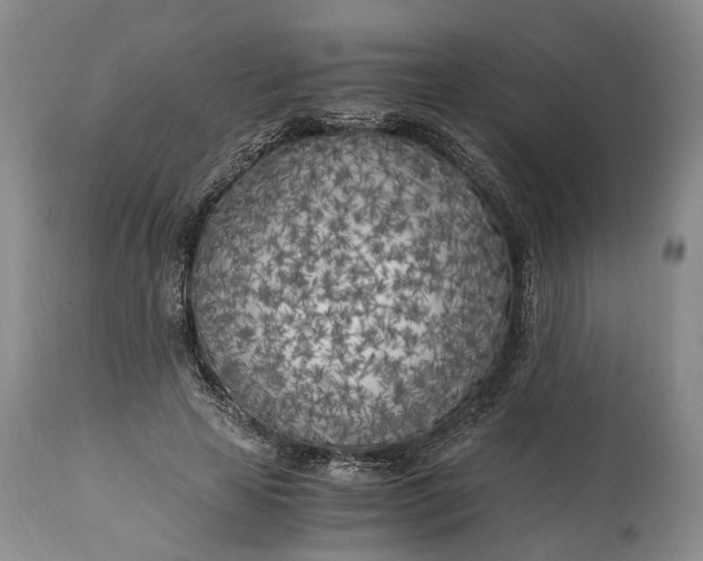 X0000114560641200911091219