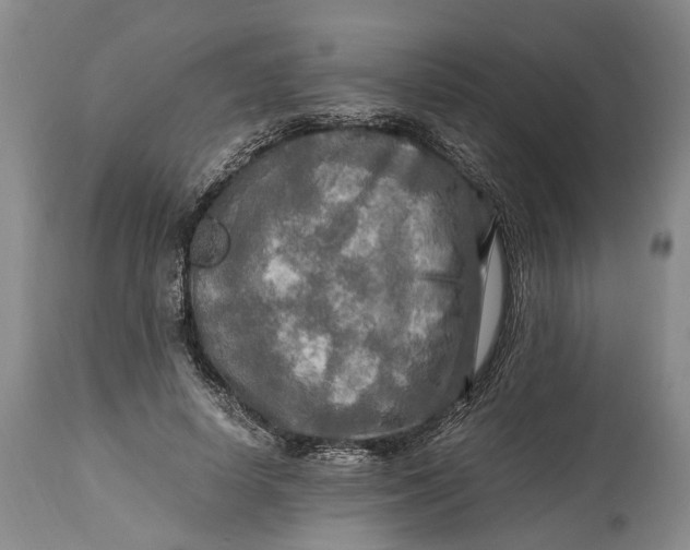 X0000114560642200911091219