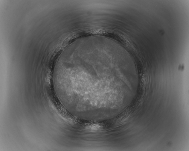 X0000114560643200911091219