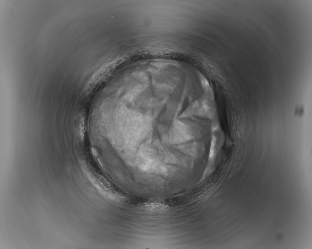 X0000114560644200911091219