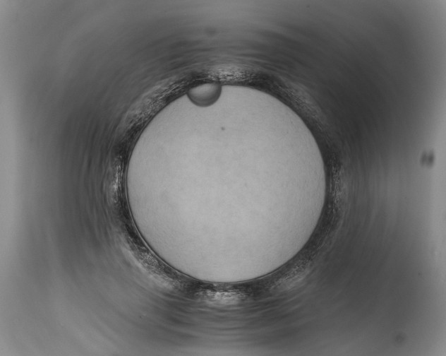 X0000114560645200911091219