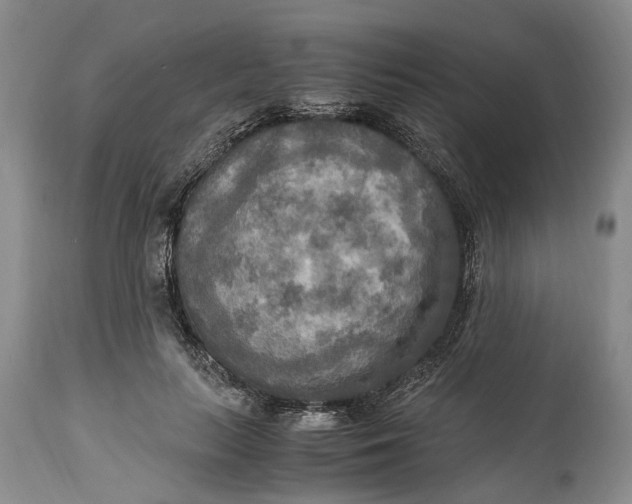 X0000114560647200911091219