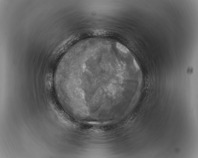 X0000114560648200911091219