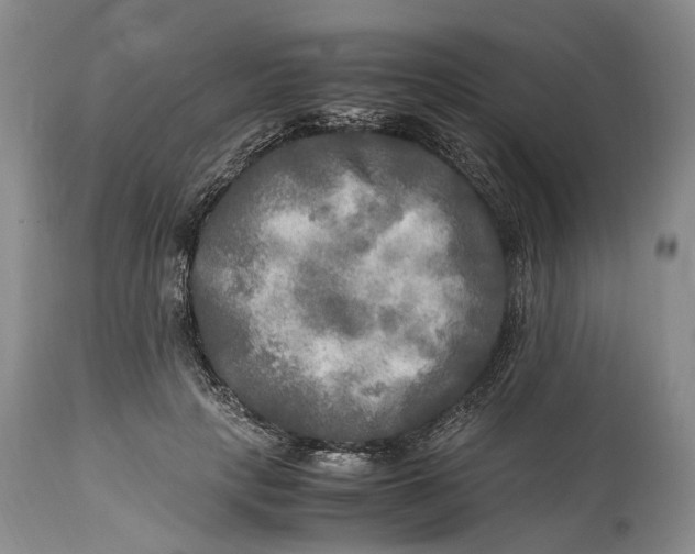 X0000114560649200911091219