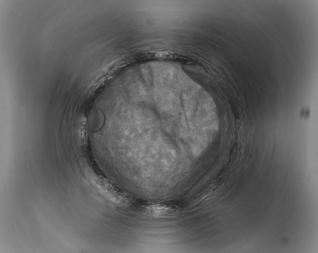 X0000114560650200911091219