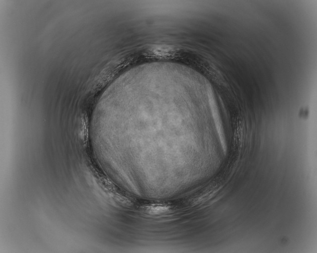 X0000114560651200911091219
