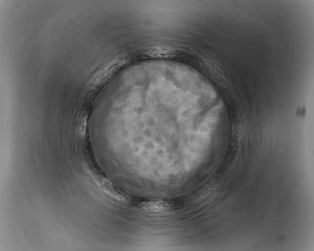 X0000114560652200911091219