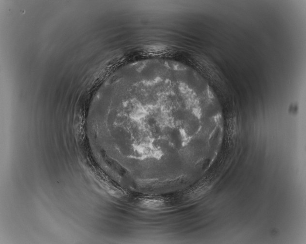 X0000114560653200911091219