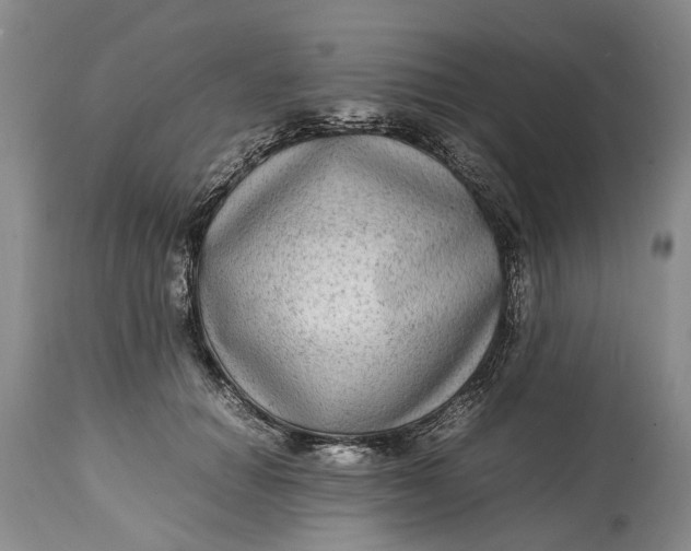 X0000114560654200911091219
