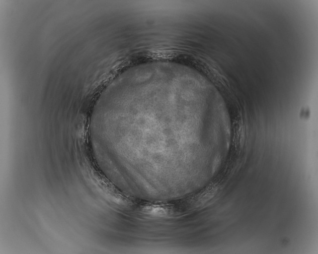 X0000114560655200911091219