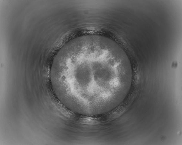 X0000114560657200911091219