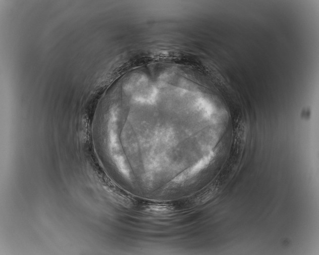 X0000114560659200911091219