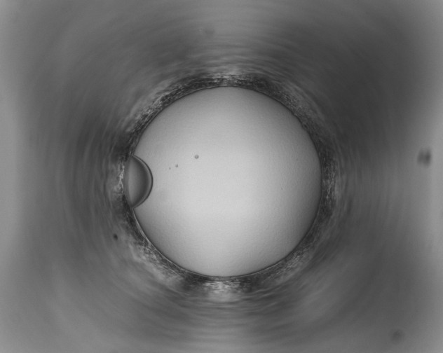 X0000114560660200911091219