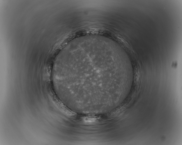 X0000114560661200911091219