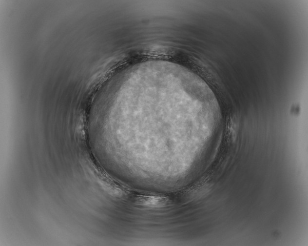 X0000114560663200911091219