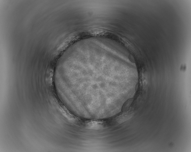 X0000114560664200911091219