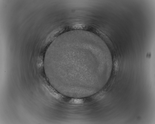 X0000114560665200911091219