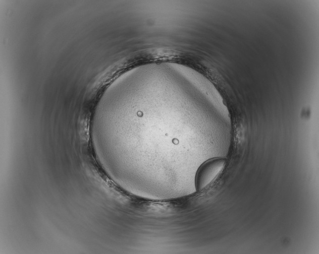 X0000114560666200911091219