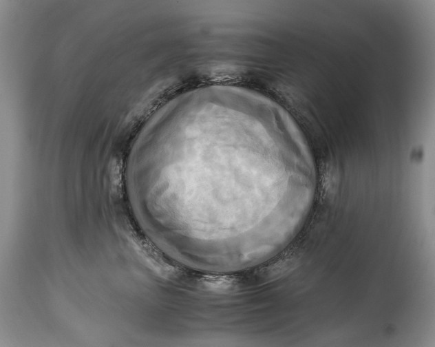 X0000114560667200911091219