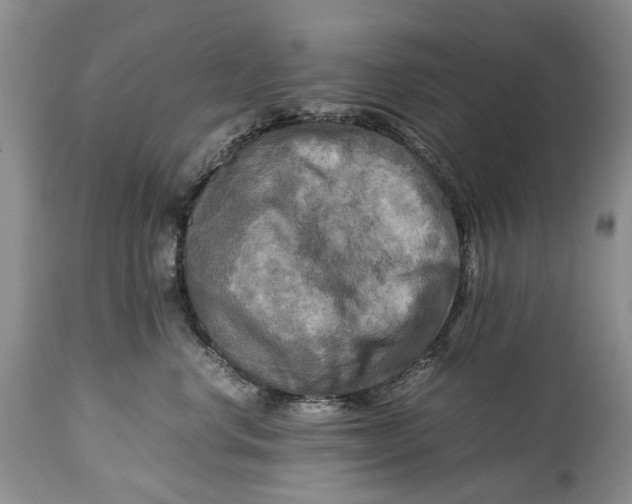 X0000114560668200911091219