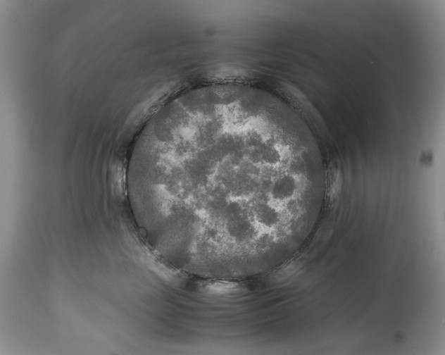 X0000114560669200911091219