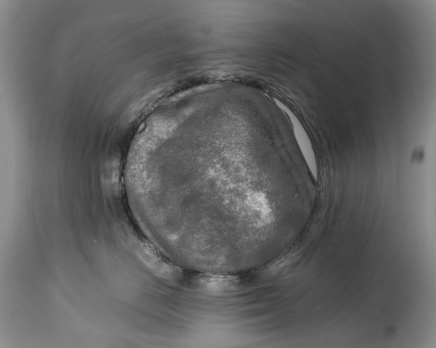 X0000114560670200911091219