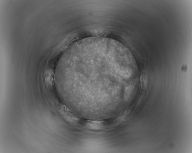 X0000114560671200911091219