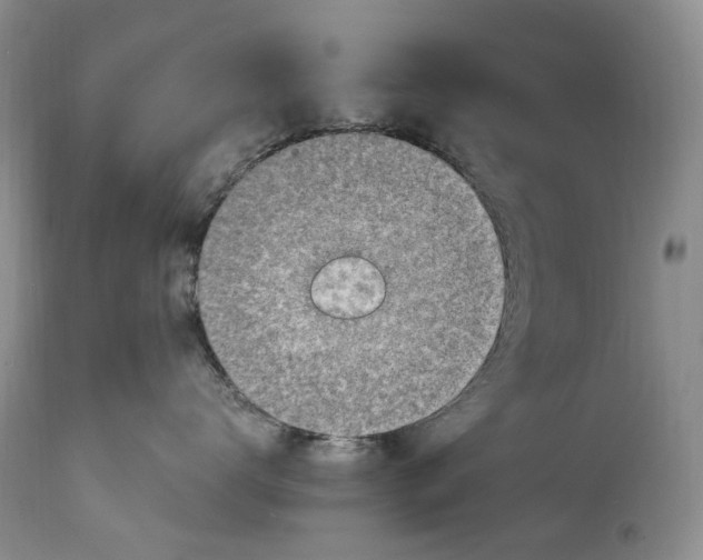 X0000114560672200911091219